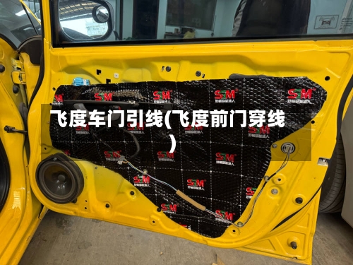 飞度车门引线(飞度前门穿线)-第2张图片