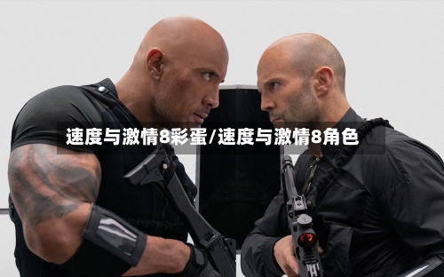 速度与激情8彩蛋/速度与激情8角色-第1张图片