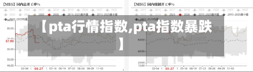 【pta行情指数,pta指数暴跌】-第2张图片