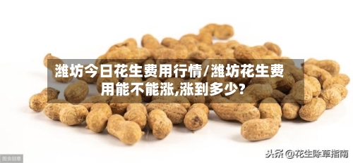 潍坊今日花生费用行情/潍坊花生费用能不能涨,涨到多少?-第2张图片