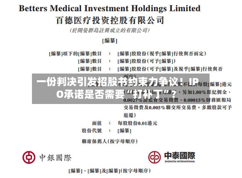 一份判决引发招股书约束力争议！IPO承诺是否需要“打补丁	”？-第1张图片