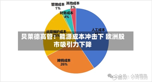 贝莱德高管：能源成本冲击下 欧洲股市吸引力下降-第2张图片