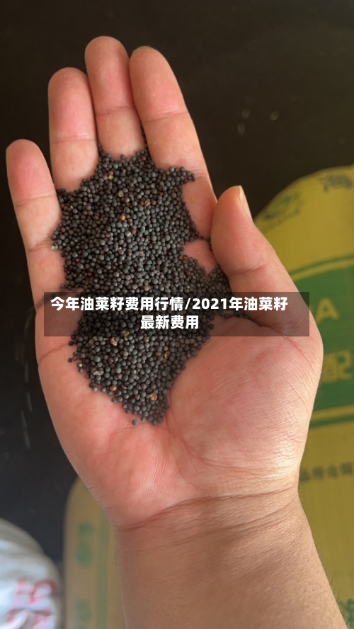 今年油莱籽费用行情/2021年油菜籽最新费用-第1张图片