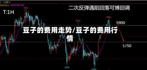 豆子的费用走势/豆子的费用行情-第1张图片
