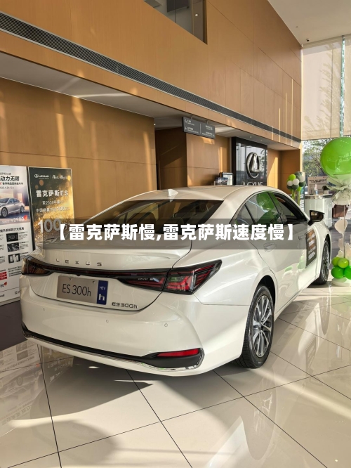 【雷克萨斯慢,雷克萨斯速度慢】-第2张图片