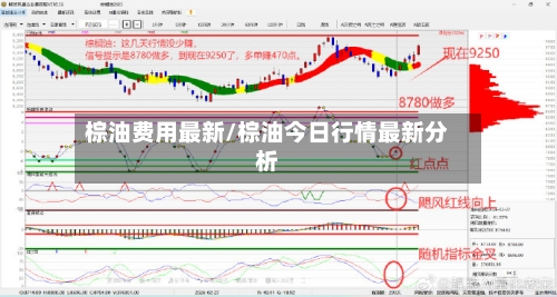 棕油费用最新/棕油今日行情最新分析-第2张图片