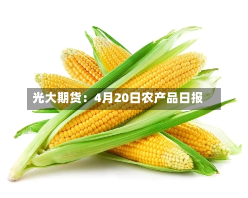光大期货：4月20日农产品日报-第1张图片