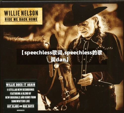 【speechless歌词,speechless的歌词dan】-第2张图片