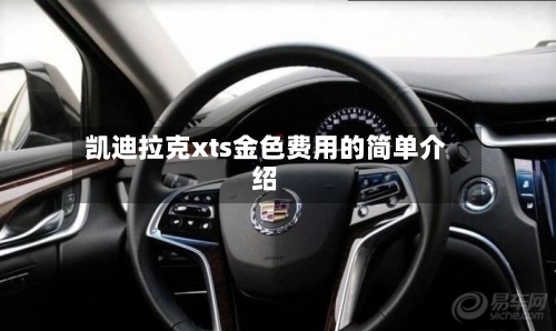 凯迪拉克xts金色费用的简单介绍-第3张图片