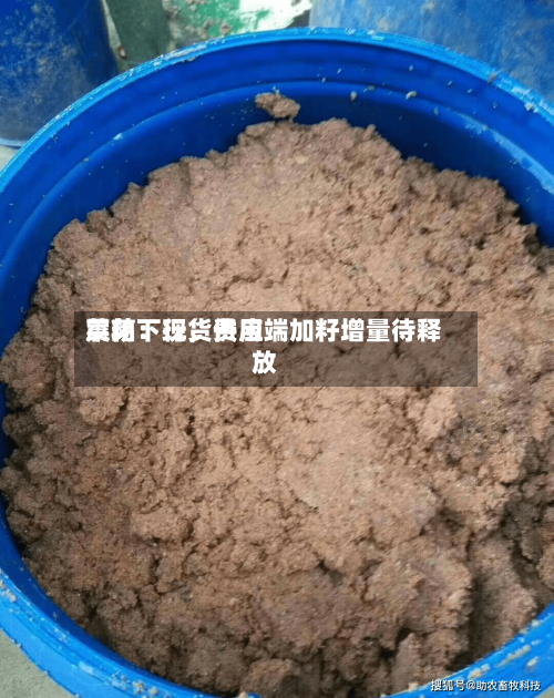 菜粕：现货费用震荡下行，供应端加籽增量待释放-第2张图片