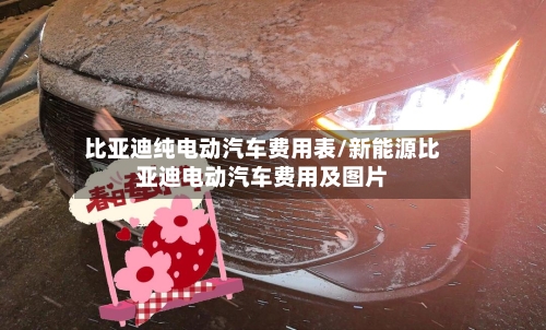 比亚迪纯电动汽车费用表/新能源比亚迪电动汽车费用及图片-第1张图片
