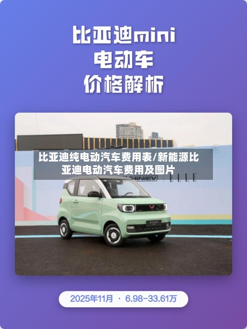 比亚迪纯电动汽车费用表/新能源比亚迪电动汽车费用及图片-第2张图片
