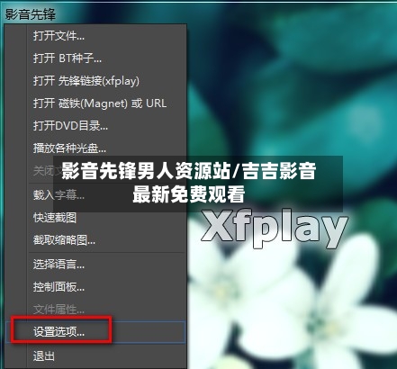 影音先锋男人资源站/吉吉影音最新免费观看-第3张图片