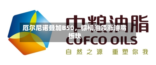 厄尔尼诺叠加B50，棕榈油领涨油脂板块-第2张图片