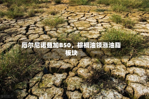 厄尔尼诺叠加B50	，棕榈油领涨油脂板块-第1张图片