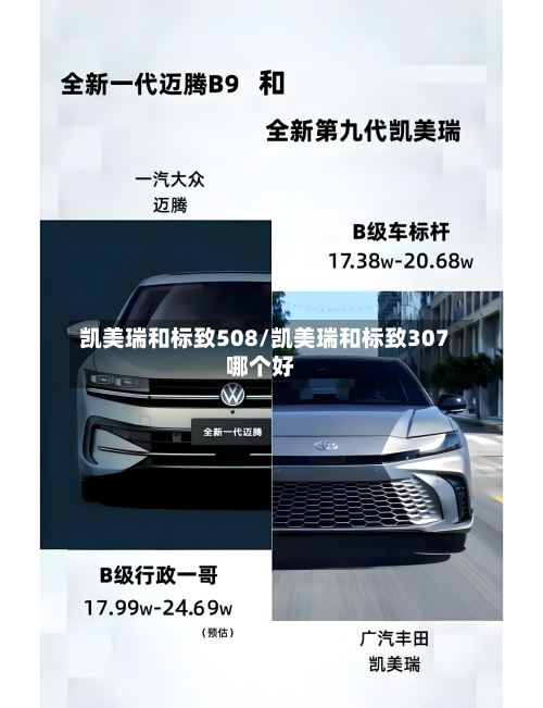 凯美瑞和标致508/凯美瑞和标致307哪个好-第1张图片
