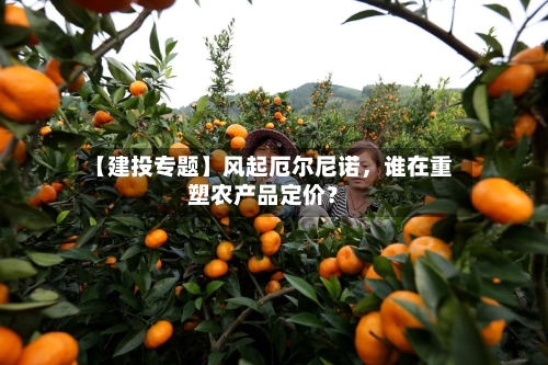 【建投专题】风起厄尔尼诺，谁在重塑农产品定价？-第1张图片