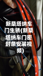 新桑塔纳车门生锈(新桑塔纳车门密封条安装视频)-第2张图片