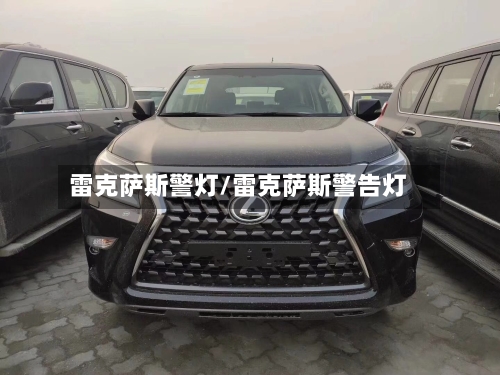 雷克萨斯警灯/雷克萨斯警告灯-第2张图片