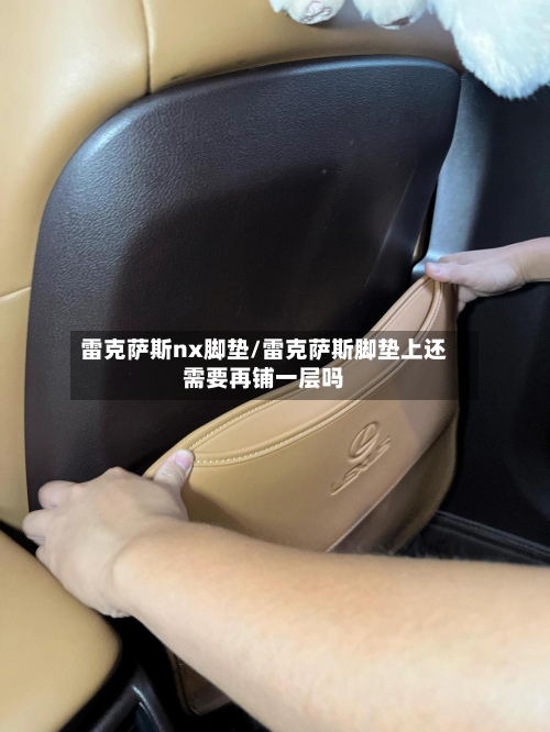 雷克萨斯nx脚垫/雷克萨斯脚垫上还需要再铺一层吗-第2张图片