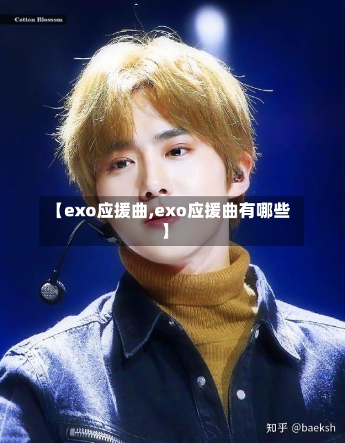 【exo应援曲,exo应援曲有哪些】-第2张图片