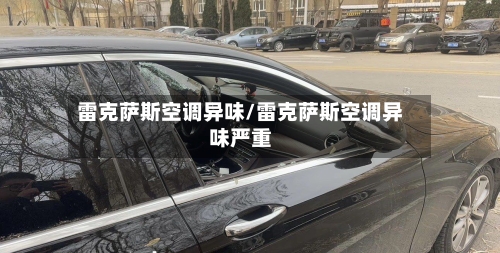 雷克萨斯空调异味/雷克萨斯空调异味严重-第2张图片