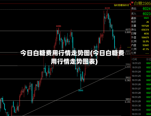 今日白糖费用行情走势图(今日白糖费用行情走势图表)-第2张图片