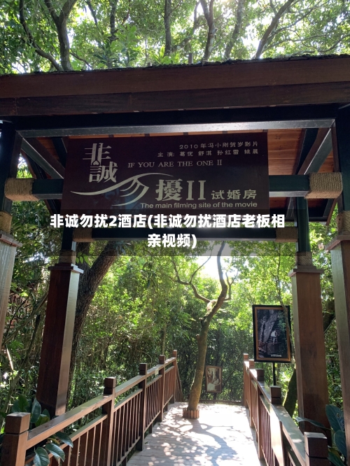 非诚勿扰2酒店(非诚勿扰酒店老板相亲视频)-第2张图片