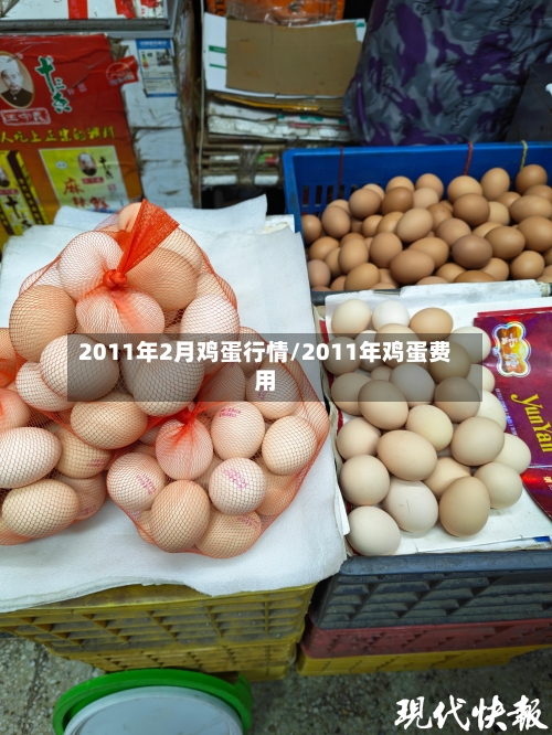 2011年2月鸡蛋行情/2011年鸡蛋费用-第1张图片