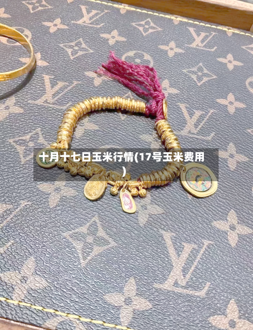 十月十七日玉米行情(17号玉米费用)-第1张图片