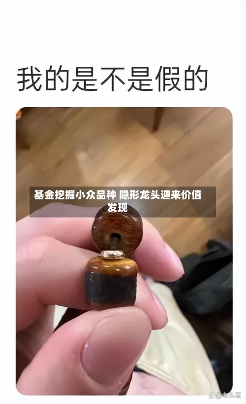 基金挖掘小众品种 隐形龙头迎来价值发现-第1张图片