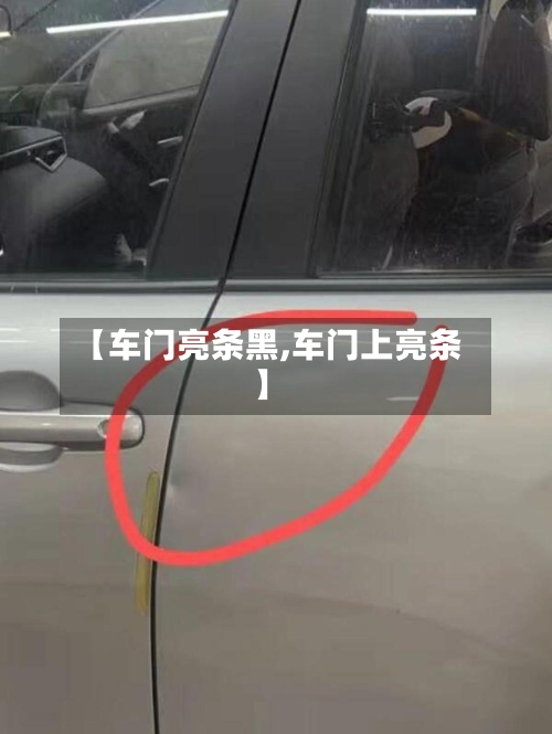 【车门亮条黑,车门上亮条】-第2张图片