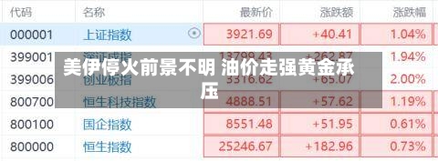 美伊停火前景不明 油价走强黄金承压-第1张图片