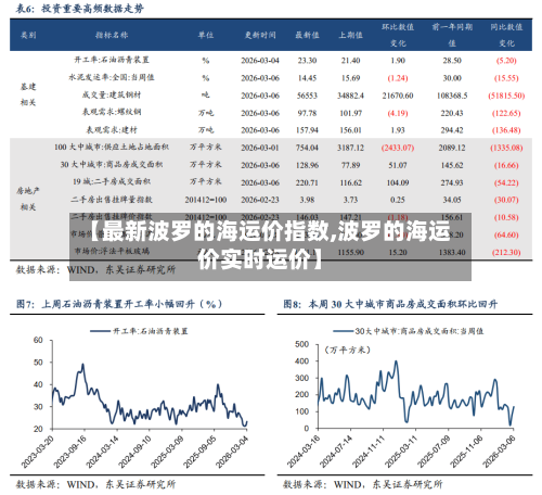 【最新波罗的海运价指数,波罗的海运价实时运价】-第3张图片