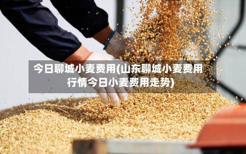 今日聊城小麦费用(山东聊城小麦费用行情今日小麦费用走势)-第2张图片