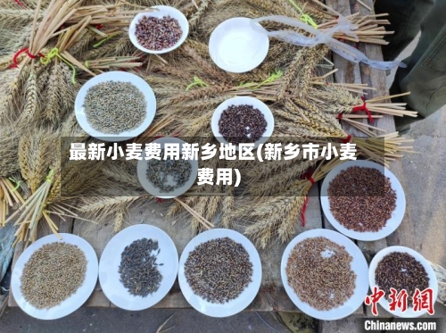 最新小麦费用新乡地区(新乡市小麦费用)-第1张图片