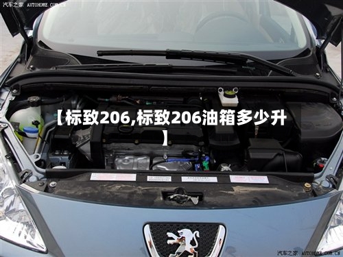 【标致206,标致206油箱多少升】-第1张图片