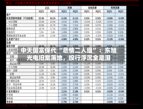 中天国富保代 “悲情二人组” ：东旭光电旧案落地	，投行浮沉全是泪-第1张图片
