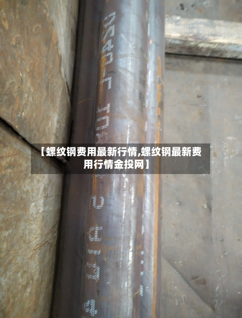 【螺纹钢费用最新行情,螺纹钢最新费用行情金投网】-第1张图片