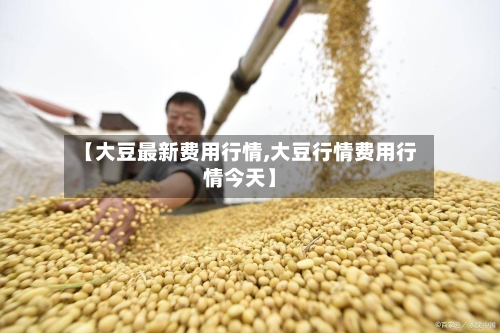 【大豆最新费用行情,大豆行情费用行情今天】-第2张图片