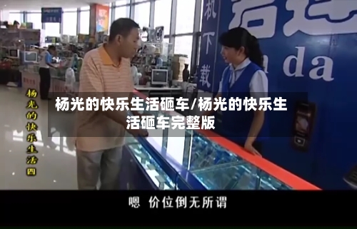 杨光的快乐生活砸车/杨光的快乐生活砸车完整版-第2张图片