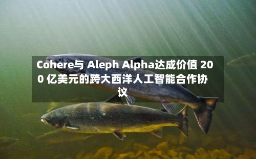 Cohere与 Aleph Alpha达成价值 200 亿美元的跨大西洋人工智能合作协议-第1张图片