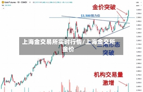 上海金交易所实时行情/上海金交所金价-第1张图片
