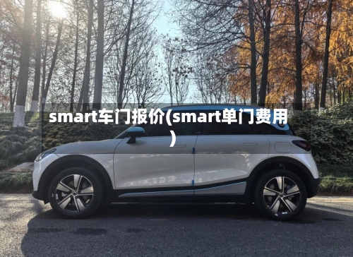 smart车门报价(smart单门费用)-第1张图片