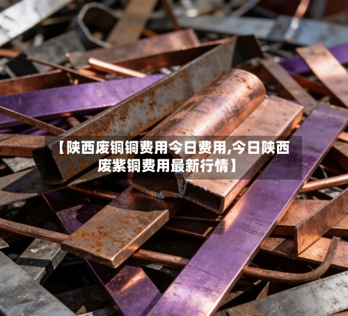 【陕西废铜铜费用今日费用,今日陕西废紫铜费用最新行情】-第1张图片