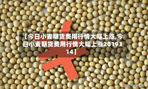 【今日小麦期货费用行情大幅上涨,今日小麦期货费用行情大幅上涨2019314】-第1张图片