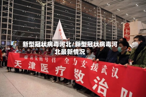 新型冠状病毒河北/新型冠状病毒河北最新情况-第3张图片