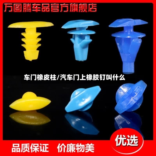 车门橡皮柱/汽车门上橡胶钉叫什么-第1张图片
