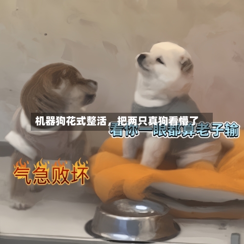 机器狗花式整活，把两只真狗看懵了-第1张图片