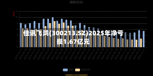 佳讯飞鸿(300213.SZ)2025年净亏损1.67亿元-第1张图片